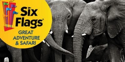 A group of elephants with trunks intertwined stands together in black and white photography. On the left side, there is a colorful Six Flags Great Adventure & Safari logo.