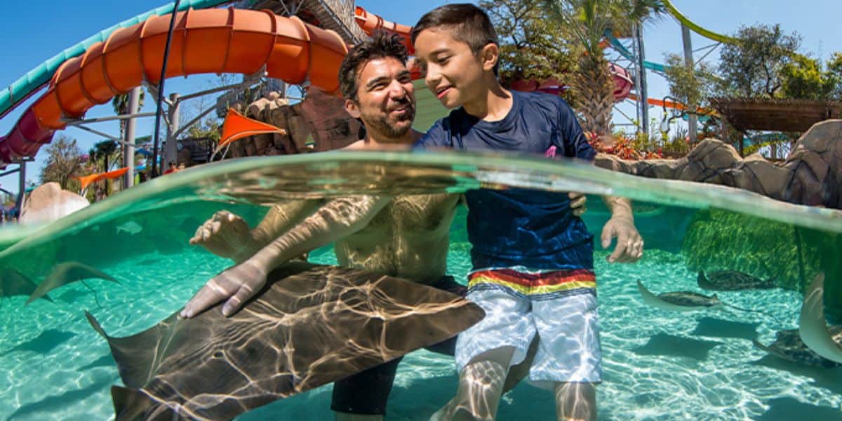SeaWorld San Antonio Water Park Aquatica San Antonio