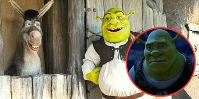 Image of Shrek and Donkey, two familiar animated characters, standing in front of a wooden house. Shrek, a green ogre, smiles while Donkey, a gray donkey, stands in a window. Inset shows a close-up of Shrek's face looking serious. Background includes wooden texture.