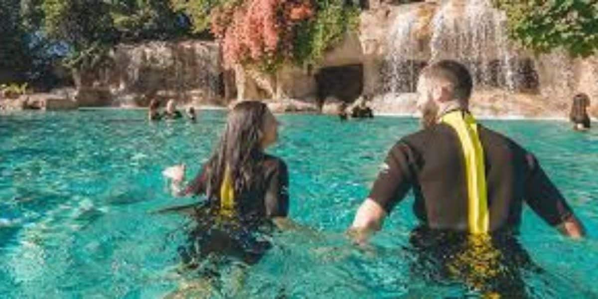A man and a woman, both wearing wetsuits with yellow stripes, are swimming toward a waterfall with a rocky backdrop and lush greenery at a Florida Theme Park. Other people can be seen in the water and near the waterfall.