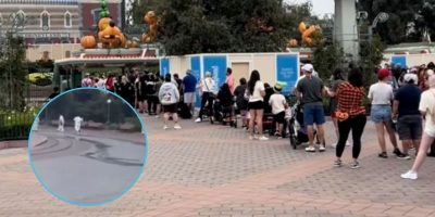 Guests waiting to get into Disneyland Park after an oil spill delayed the opening of the Southern California Disney park. A photo of custodial teams cleaning up the spill is overlayed in the foreground.