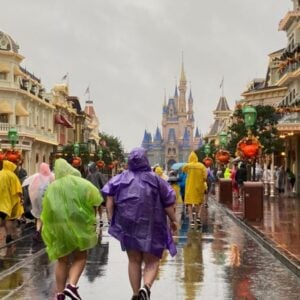Guests visit the Magic Kingdom on the day Hurricane Milton hit the area
