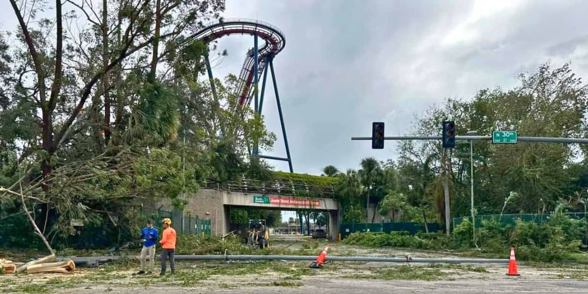 A fallen tree and broken power lines block the road near a Florida theme park ride. Gates closed, two workers in safety gear stand by the debris. Traffic lights hang overhead, with a street sign reading "30th St." Trees and cloudy skies form the backdrop after Hurricane Milton's impact at Busch Gardens Tampa Bay theme park.