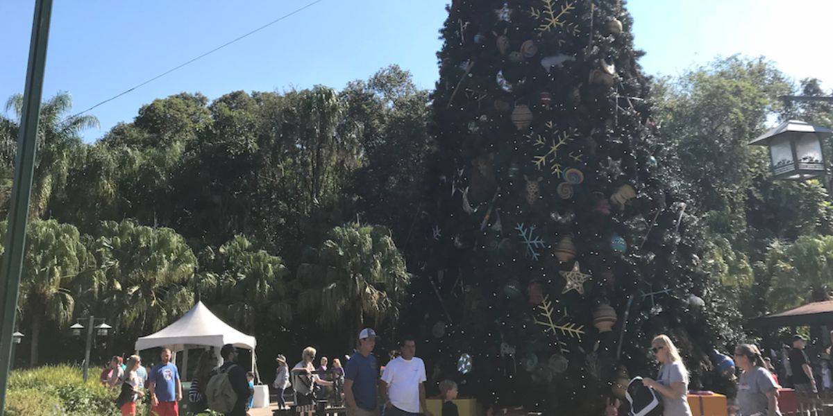 A large Christmas tree outside the entrance to Disney's Animal Kingdom Theme Park at Walt Disney World Resort.