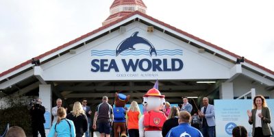 People are entering the Sea World Gold Coast entrance, featuring a large sign with a dolphin logo. Several individuals are dressed in colorful costumes, and others are casually walking around. The building has a distinctive pointed roof.