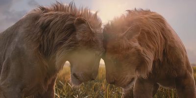 When Will 'Mufasa: The Lion King' Stream on Disney+?