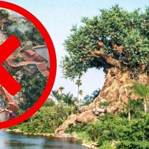 Animal Kingdom with an X through the Tropical Americas image
