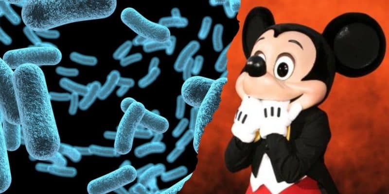 A split image shows blue bacteria on a black background on the left side, and Mickey Mouse in a red outfit standing against an orange backdrop on the right side at Disney World.