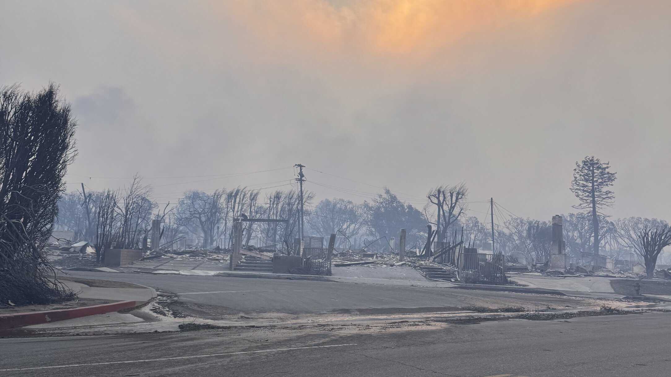 Devastation from the Altadena Fire in Los Angeles