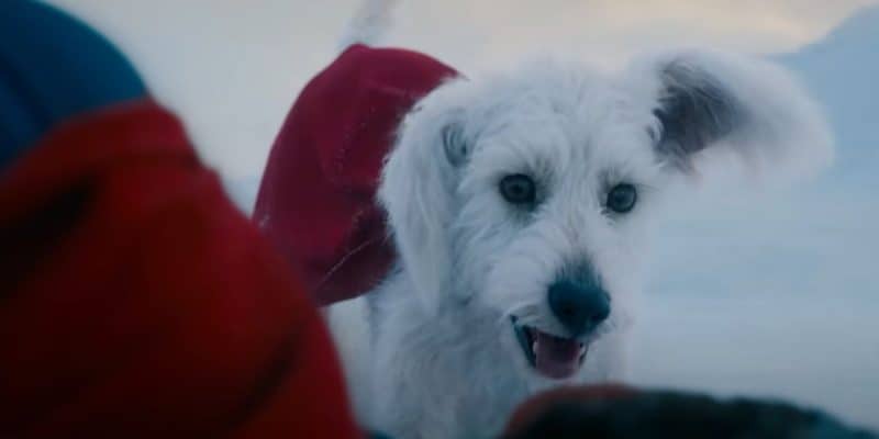 Krypto the Dog helping Superman in the new trailer