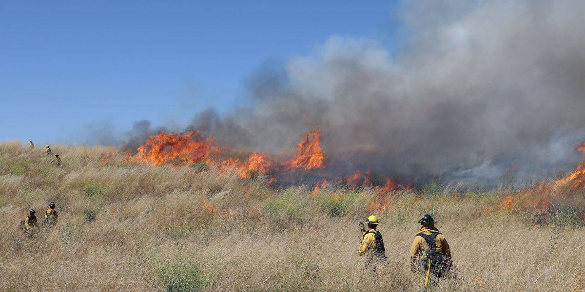 Firefighters wearing protective gear walk through a grassy field towards a wildfire with tall flames and thick smoke under a clear blue sky.