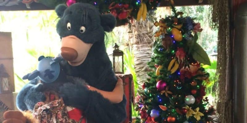 A Disney character performer dressed as Baloo the bear hugging a guest in front of a Christmas tree at Disney's Animal Kingdom Theme Park.