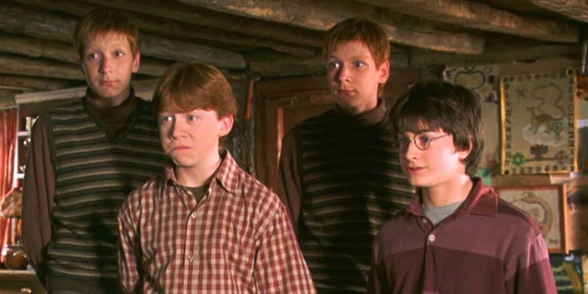 Fred and George Weasley, stood behind Ron Weasley and Harry Potter