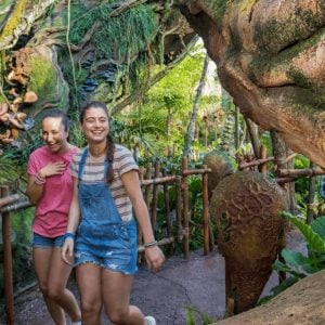 Guests visiting Pandora The World of Avatar at Animal Kingdom during the day at this Disney World park.