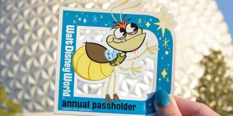 The Ray Annual Pass Holder Magnet