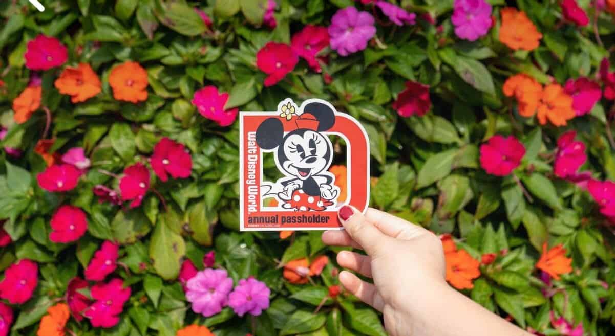 Minnie Mouse Walt Disney World Annual Pass magnet