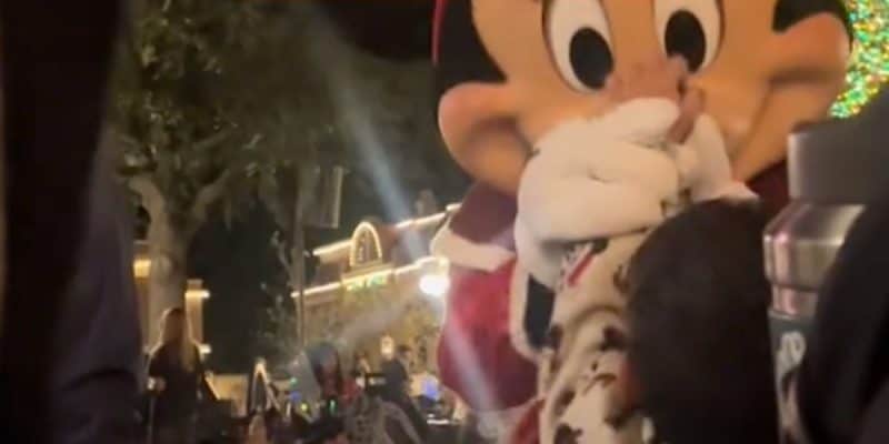 Minnie Mouse tries to remove a child's hands from her nose as he yanks on her.
