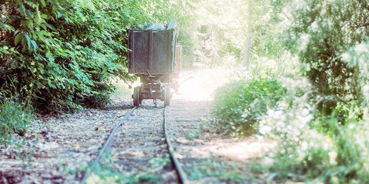 A small, weathered cart sits on overgrown railway tracks surrounded by lush green foliage, reminiscent of a bygone theme park. The sunlit scene creates a peaceful and nostalgic atmosphere amidst the dense greenery.
