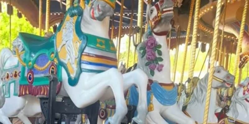 A screenshot from a video of Walt Disney World Resort's Prince Charming Regal Carrousel shut down after poop was found on it.
