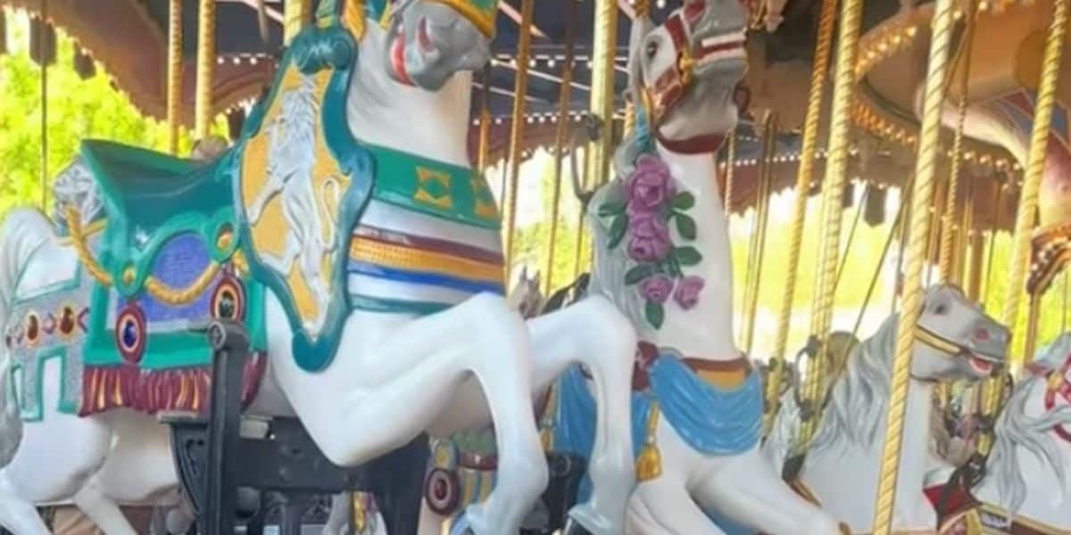 A screenshot from a video of Walt Disney World Resort's Prince Charming Regal Carrousel shut down after poop was found on it.