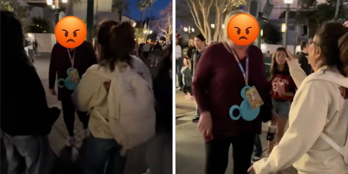 Two women at Disney California Adventure, one is accused on punching a child