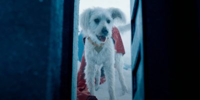 Krypto entering the Fortress of Solitude