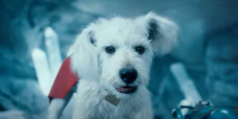 Krypto the Dog helping Superman in the new trailer