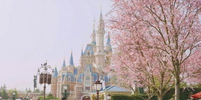 A Disney Castle with blue and gold spires stands behind blossoming pink cherry trees, lamp posts, and clear skies, creating a magical springtime scene.