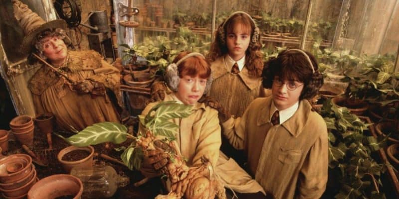 Harry Potter, Ron Weasley, Hermione Granger, and Professor Sprout