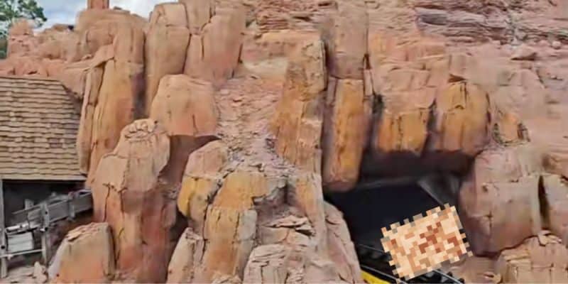 A blurred image of something in the entrance to a tunnel on Big Thunder Mountain Railroad.
