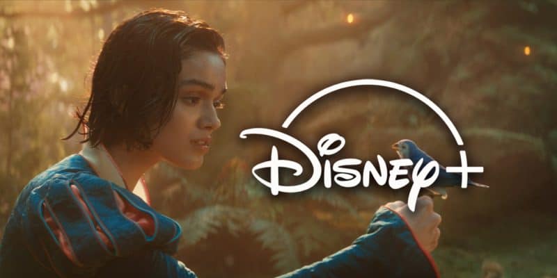 A young woman in a blue dress gently holds a small blue bird on her hand in a lush forest, evoking the magic of the Snow White Remake. The Disney+ logo appears prominently over the image.