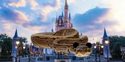 A large snake with cartoon mouse ears edited onto its head is superimposed in front of a fairytale castle, resembling the entrance to Disney World in Florida, under a cloudy sky.