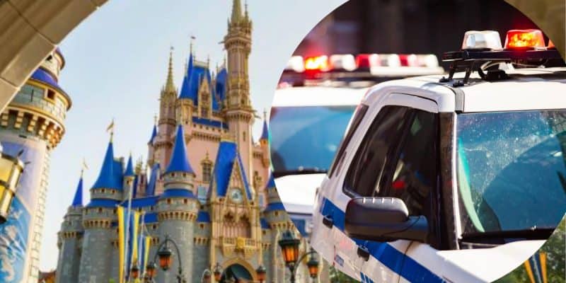 Split image: On the left, a colorful fairytale castle with blue spires, likely at a theme park popular with Disney Adults. On the right, close-up of two police cars with flashing lights, suggesting someone was Arrested in Parks.
