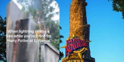 A burning tree struck by lightning with text: “When lightning strikes a tree while you’re in line for Harry Potter at Universal.” Next to the Islands of Adventure entrance tower, as evacuation procedures start under a clear blue sky.