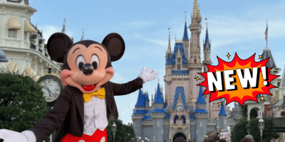 Mickey Mouse poses with open arms in front of a Disney castle at the Disney parks, with a colorful "NEW!" graphic on the right side. The background features park buildings and a bright blue sky, hinting at exciting updates for 2030.