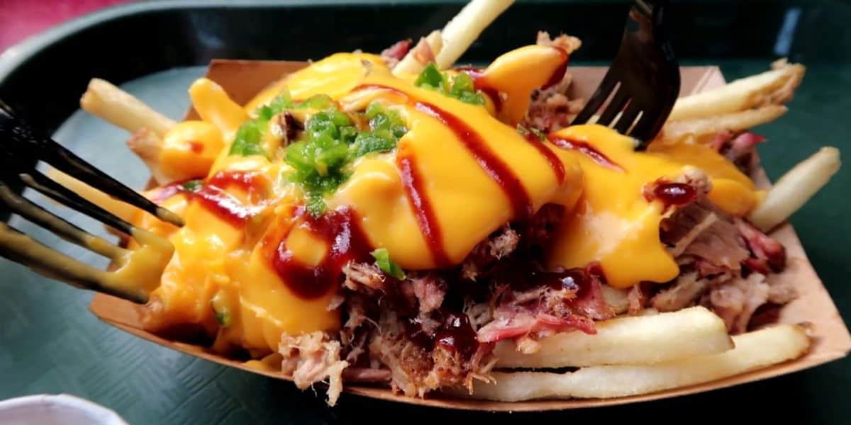 Pulled Pork Fries Flame Tree Barbecue Animal Kingdom