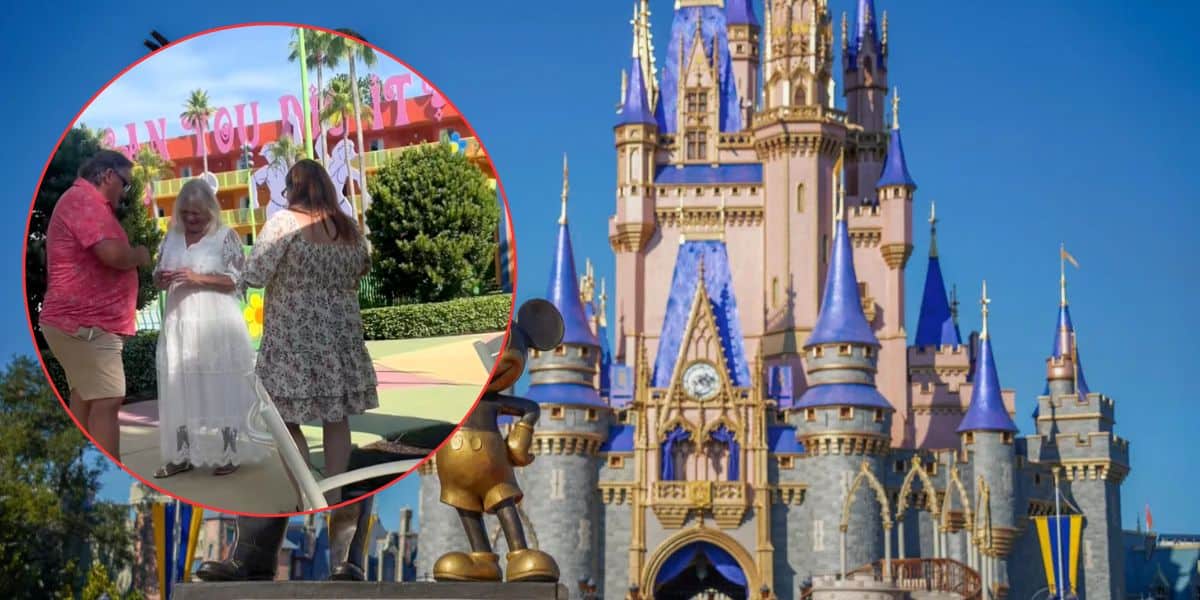A bride in a white dress stands with a groom and an officiant outdoors; the scene is inside a circular frame overlaid on a photo of a pink and blue Disney castle.