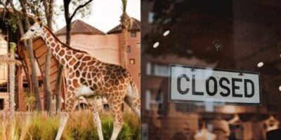 A giraffe walks near a building on the left, while on the right, a "CLOSED" sign hints at a hotel closure—reminiscent of scenes from Disney World resorts during off-seasons.