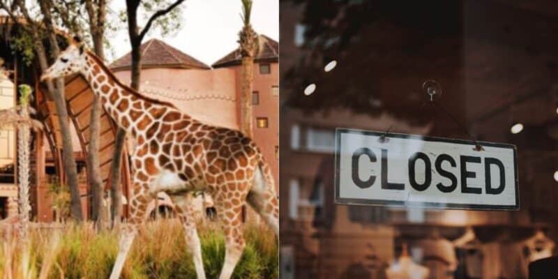 A giraffe walks near a building on the left, while on the right, a "CLOSED" sign hints at a hotel closure—reminiscent of scenes from Disney World resorts during off-seasons.