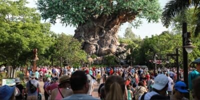 Crowds in front of the Tree of Life at Disney's Animal Kingdom Theme Park.