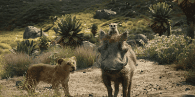 A young lion, a warthog, and a meerkat stand together in a sunlit, grassy landscape with rocks and lush plants, ready for new adventures—like those seen in animated sequels. The meerkat is perched on the warthog’s head, all facing forward.