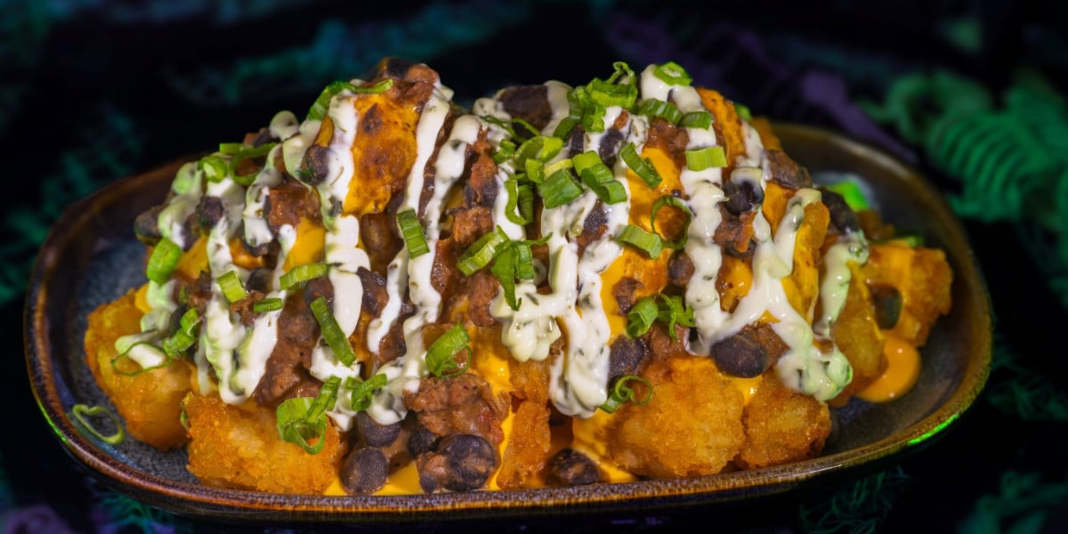 A bowl of crispy tater tots topped with ground beef, black beans, melted cheese, and drizzled with creamy sauce, garnished with chopped green onions—just like a tasty treat you'd find at a Disney park.