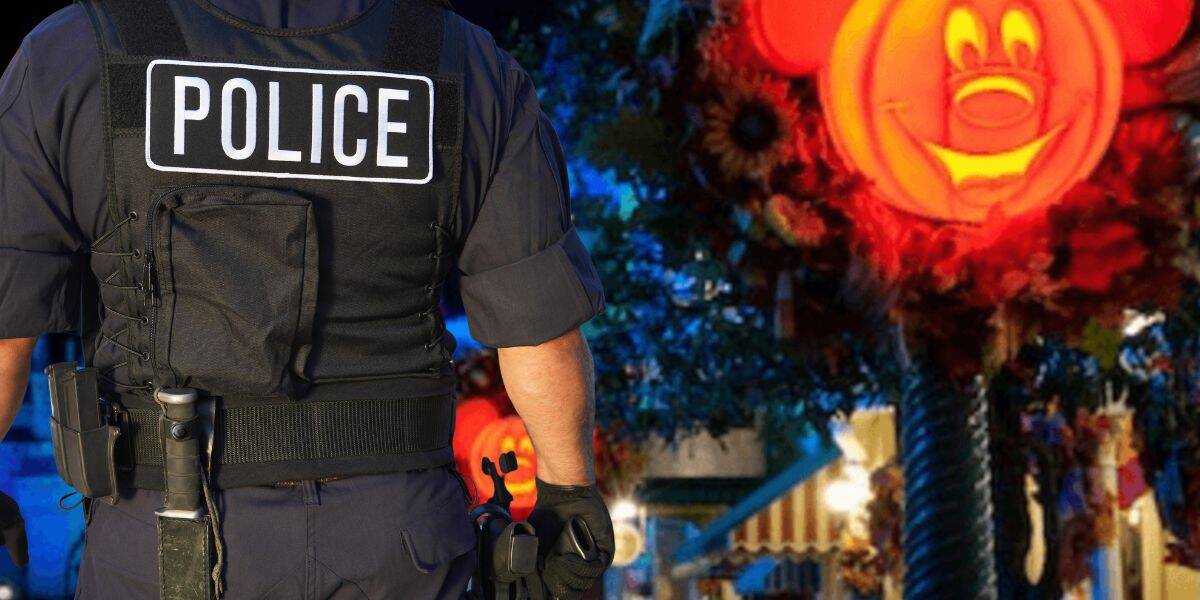 Police Chase Ends in Wild Guest Arrest Inside of Magic Kingdom