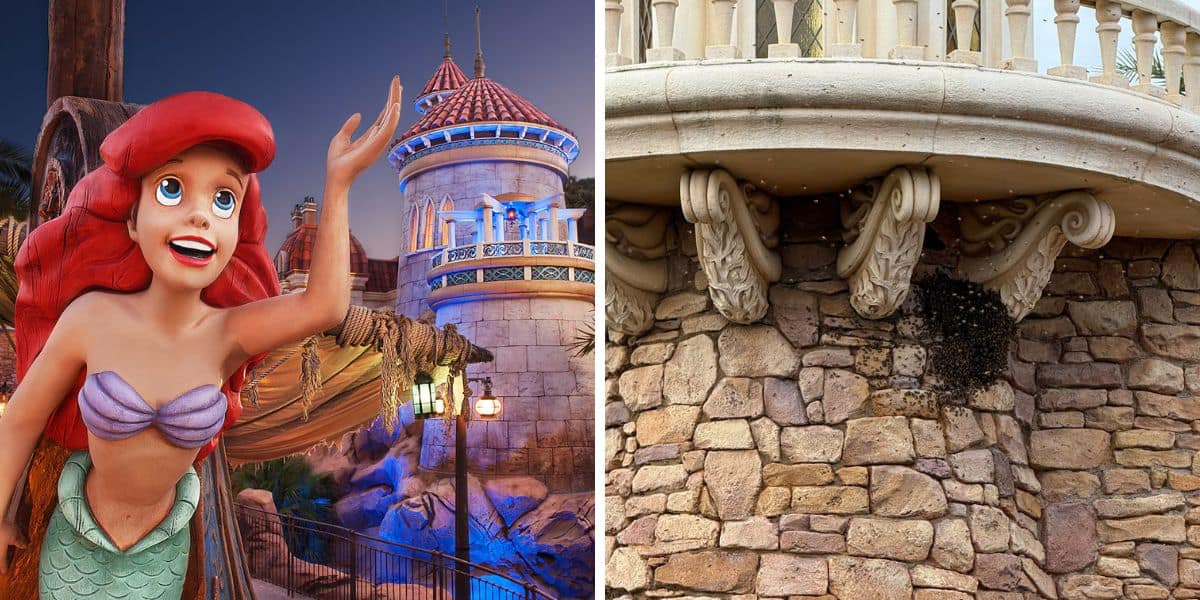 (Left) Journey of the Little Mermaid, (Right) Bee Swarm Fantasyland