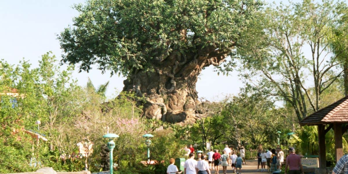 Guests walking in front of the Tree of Life at Disney's Animal Kingdom Theme Park.
