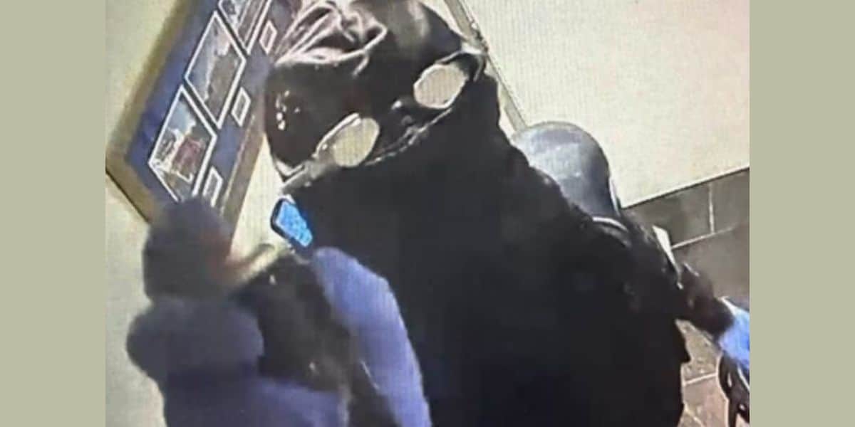 A person wearing a dark hood, goggles, and blue gloves points an object toward the camera in a hallway with Disney-themed framed pictures on the wall.