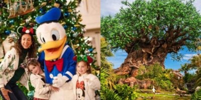 A woman and two children pose with Donald Duck in front of a holiday Christmas tree, next to an image of the Tree of Life surrounded by greenery at Disney’s Animal Kingdom.