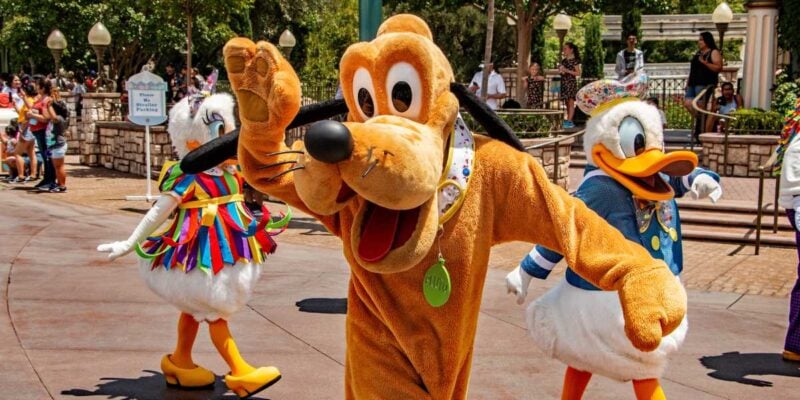 Pluto, Donald Duck, and Daisy Duck walk in a parade at Disneyland.