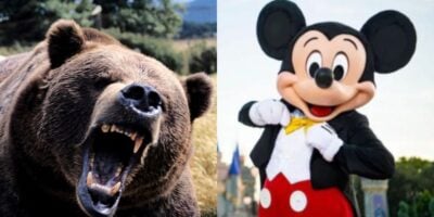 A split image: on the left, chaos erupts as a roaring brown bear dominates the wild; on the right, a person in a Mickey Mouse costume smiles and poses at Disney World.