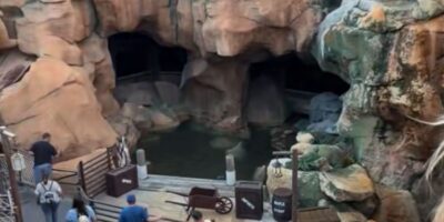 A censored image of a boy after climbing a fence and hopping into a pond at EPCOT